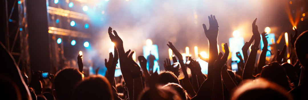 Festival Crowd